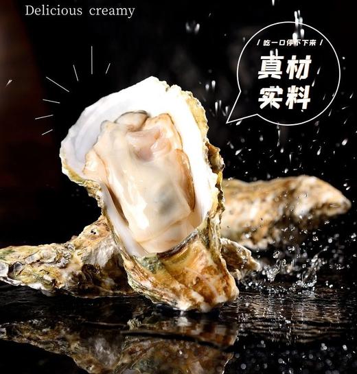 新鲜生蚝 商品图1