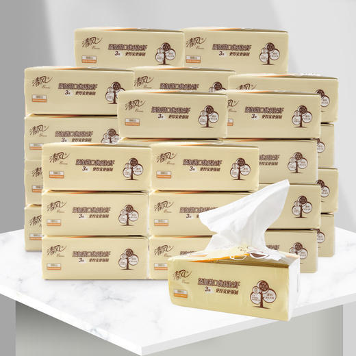 清风萌宠系列亲肤抽纸24包箱 商品图4