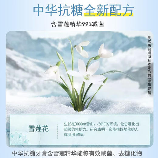 【直发】中华抗糖净白牙膏海盐薄荷味90g*2支 商品图3