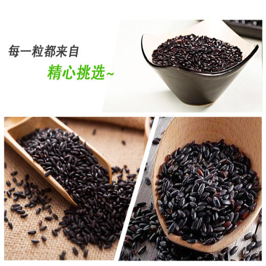 有机黑米 420g*3袋 商品图5