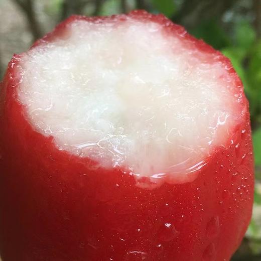 海南空运黑糖芭比莲雾（3斤装） 商品图2