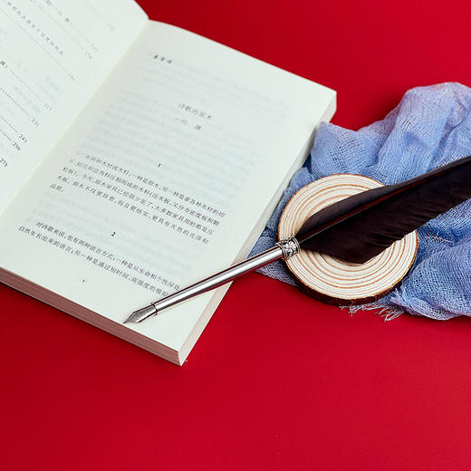 中国新诗档案 诗意母语与诗之真实 李森 云南大学中国当代文艺研究所研究员团队研究成果 商品图4