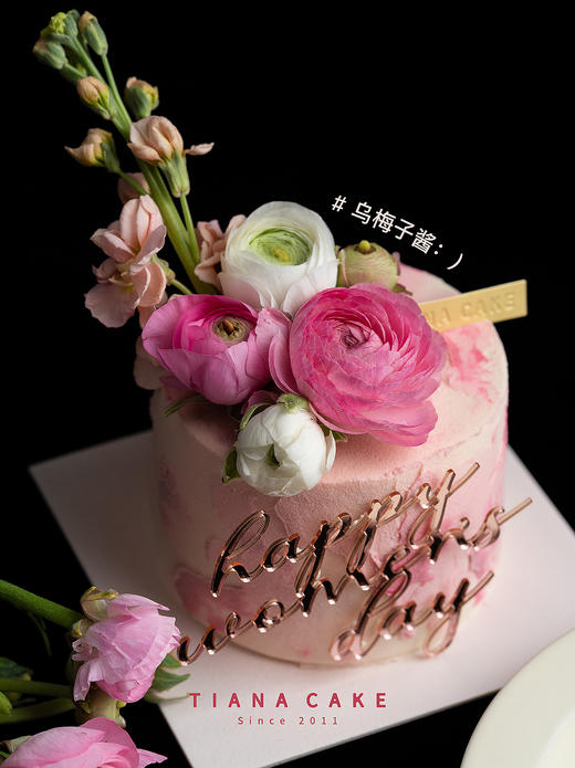 乌梅子酱 商品图8