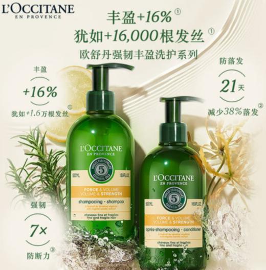 【女神节】欧舒丹草本强韧丰盈洗发水500ml柔顺护色控油蓬松 商品图2
