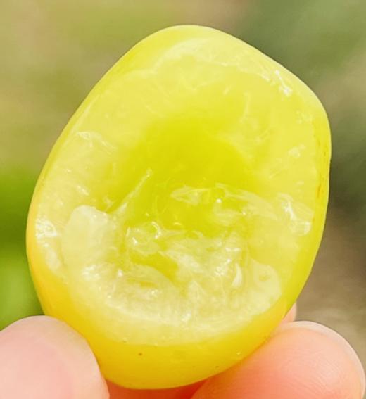 澳洲空运秋天酥  |  高级青提，皮薄甜心脆，牙齿一碰就爆炸，清新甜蜜蜜，没来得及洗就咔嚓嚓！ 商品图2