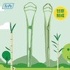 瑞典tepe环保刮舌器 商品缩略图2