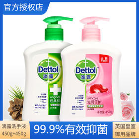 【2瓶】 滴露健康抑菌洗手液450ml*2滋润倍护植物呵护