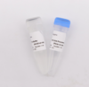 Taq Pro HS DNA Polymerase 商品缩略图0