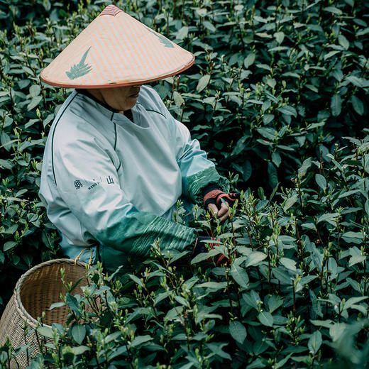 自然造物西湖龙井高端茶叶礼盒桐木盒绿茶春茶送礼明前特级 商品图4