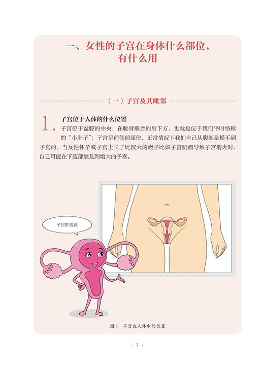 子宫内膜癌 肿瘤科普百科丛书 王建六 常见妇科恶性肿瘤 宫内膜癌筛查预防诊治术后注意事项基础知识 人民卫生出版社9787117332767 商品图3