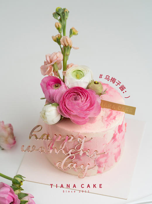 乌梅子酱 商品图0