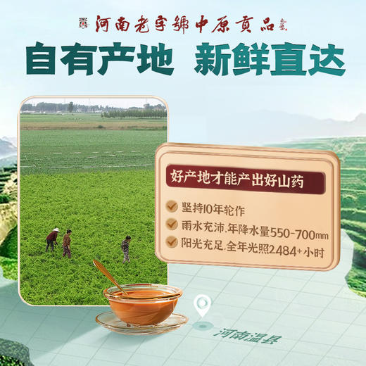 老字号怀川臻仁100%垆土铁棍山药颗粒粉 健康家庭常备240g/盒 商品图3