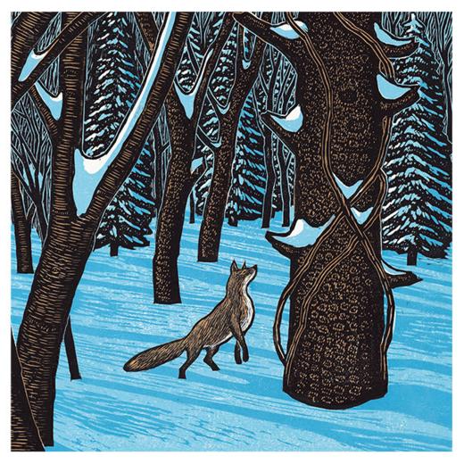 北方狐狸的梦 商品图0