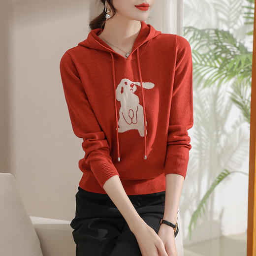 连帽卫衣时尚洋气外套宽松休闲上衣CC-2839 商品图2