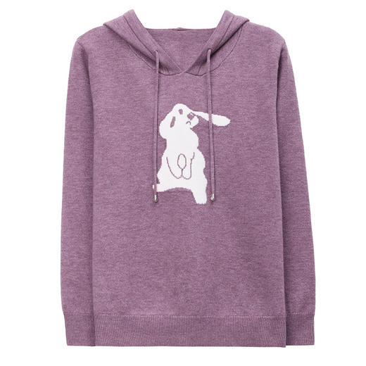 连帽卫衣时尚洋气外套宽松休闲上衣CC-2839 商品图4