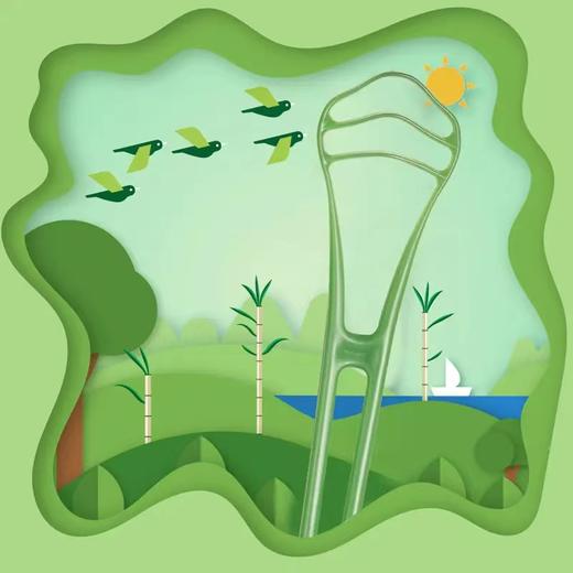 瑞典tepe环保刮舌器 商品图3