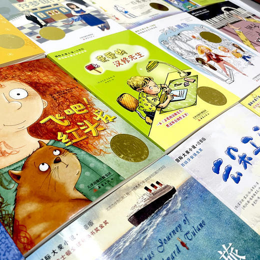 【5-10岁推荐】国际大奖小说·注音版（20册）礼盒装 &第3辑10册 一座世界儿童文学宝库 助力孩子独立阅读 商品图3