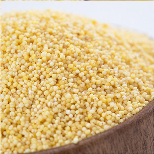 有机大黄米 420g*3袋 商品图2