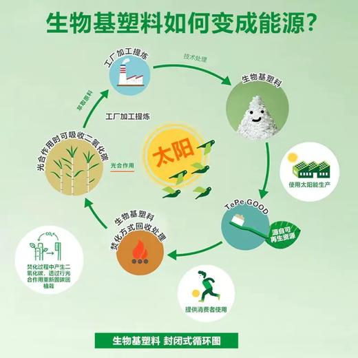 瑞典tepe环保刮舌器 商品图4