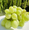 澳洲空运秋天酥  |  高级青提，皮薄甜心脆，牙齿一碰就爆炸，清新甜蜜蜜，没来得及洗就咔嚓嚓！ 商品缩略图7
