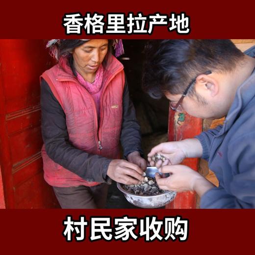 【云南黑松露菌】干货50克 商品图1
