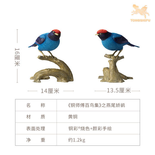 铜师傅 铜摆件《铜师傅百鸟集》之燕尾娇鹟 铜工艺品 家居饰品摆件 商品图4