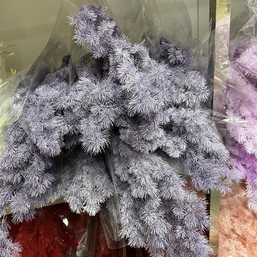 国产花材-【永生蓬莱松】 商品图7