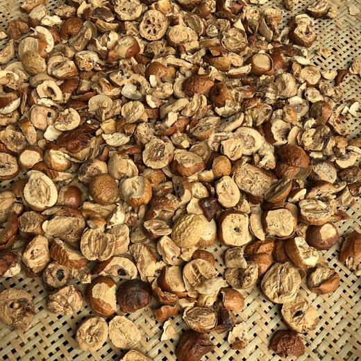 川楝子 金铃子 商品图0