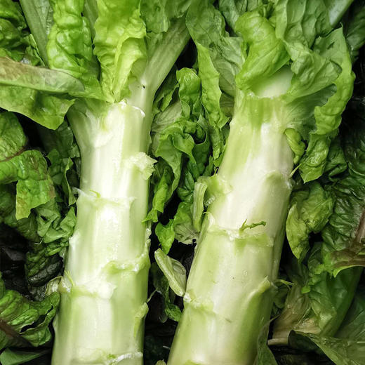 【超市】莴笋 商品图1