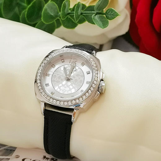 现货速发！【送镶钻玫瑰金手镯】COACH蔻驰 人造水晶系列女款手表 商品图6