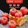 新疆普罗旺斯沙瓤西红柿 顺丰发货 商品缩略图1