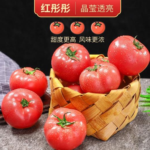新疆普罗旺斯沙瓤西红柿 顺丰发货 商品图1