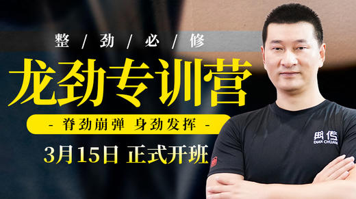 第3课：龙震式 商品图0