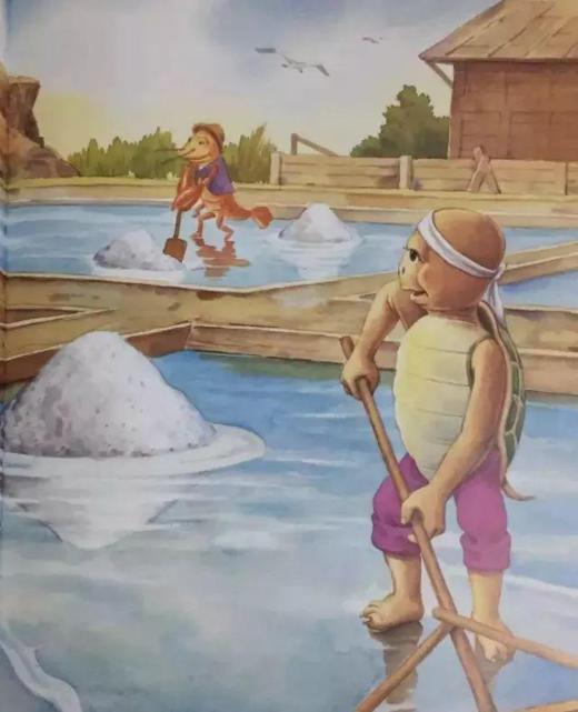 贝壳的秘密 商品图0