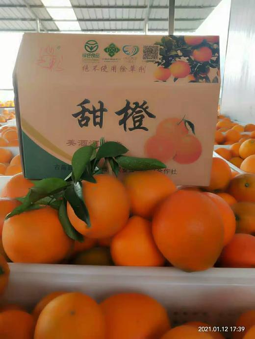 山之彩甜橙纽荷尔脐橙水果绿色食品A级古蔺 商品图0