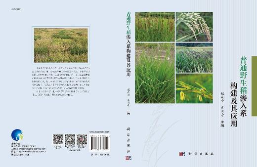 普通野生稻渗入系构建及其应用/程在全 黄兴奇 商品图3
