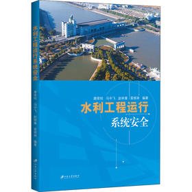 水利工程运行系统安全