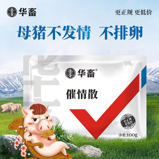 【积分兑换】华畜促情散 促发情促排卵产仔多  母猪母牛母羊用 商品图0