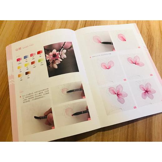 水彩手绘基础教程 商品图2