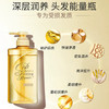 丝蓓绮沁润臻致修护洗发露490ml 商品缩略图1