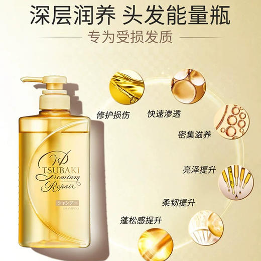 丝蓓绮沁润臻致修护洗发露490ml 商品图1