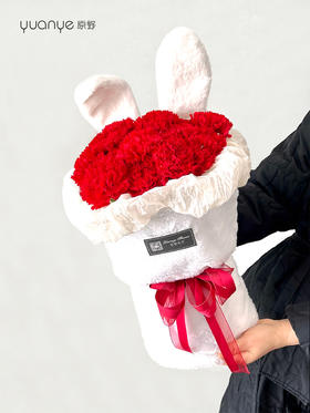 【“兔”你开心】兔耳朵红色康乃馨花束