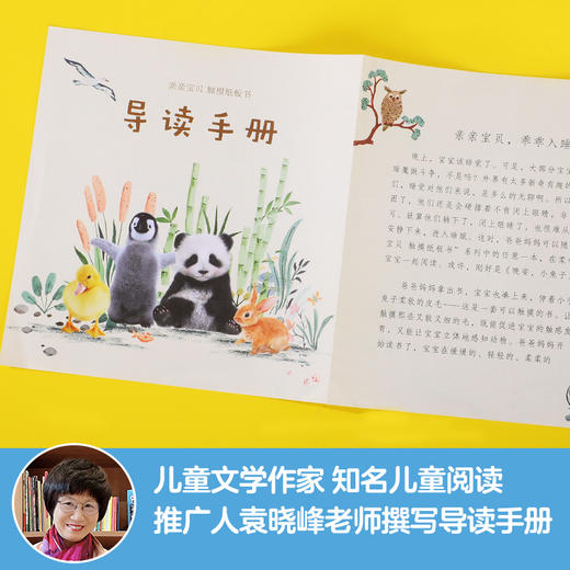 【上架请联系】乐乐趣新书-亲亲宝贝 触摸纸板书（4册） 商品图5