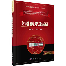 射频集成电路与系统设计/李智群 王志功