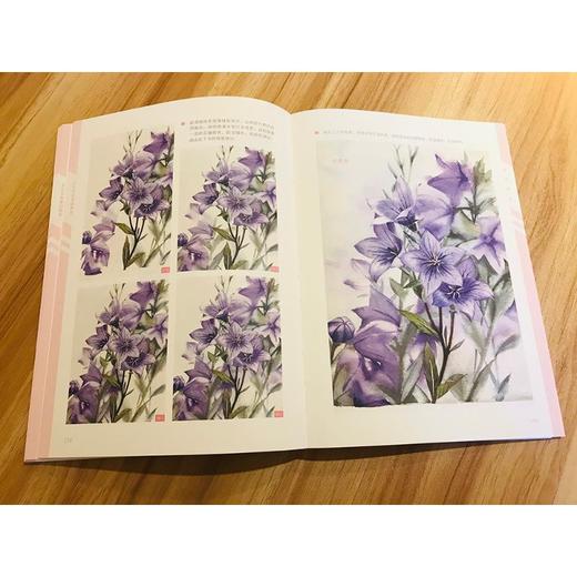 水彩手绘基础教程 商品图3