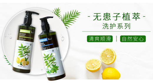 无患子植萃洗发露沐浴露500ml*1瓶  植物萃取自然安心【悦意】 商品图4