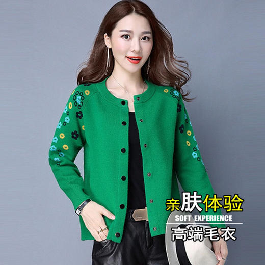 TZF-LYD春秋新款韩版针织衫开衫短款宽松毛衣 商品图6