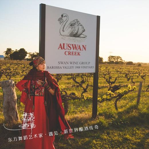 【杨丽萍联名款】天鹅庄·孔雀绽放40 智利原瓶进口 14%vol 商品图1