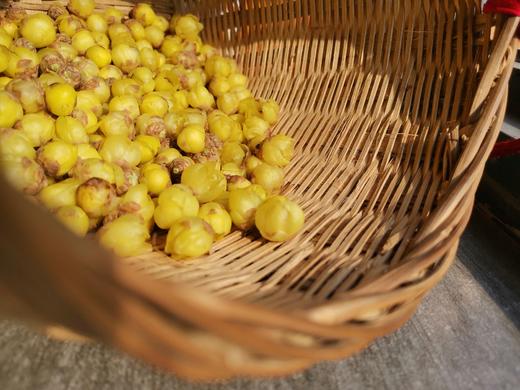 腊梅花茶茶坯 商品图0