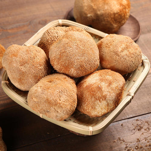 陇南猴头菇 养胃食材 手工采摘 精心除杂 天然晾晒 零添加 商品图0